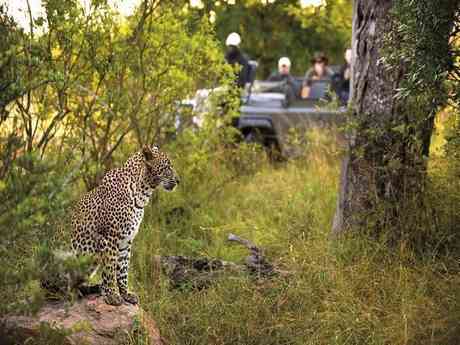 Marvellous Cape Town & Kruger